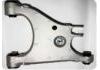 Lenker, Radaufhängung Control Arm:6006774-00-B